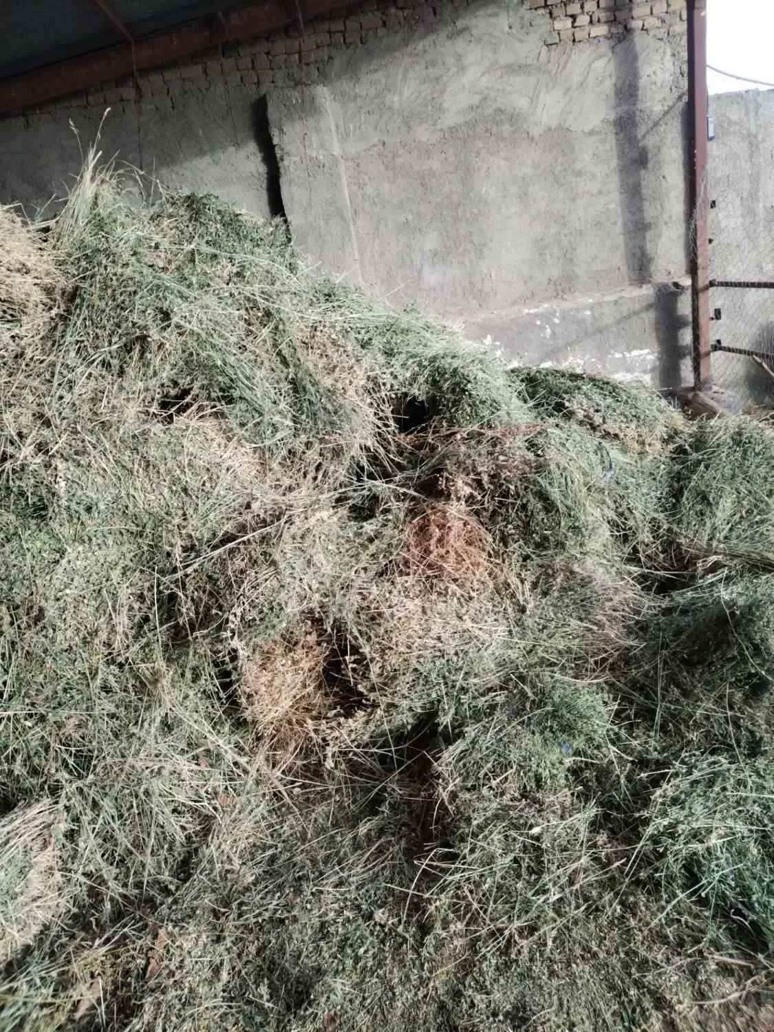 بیده خشک|لوازم جانبی حیوانات|سبزوار, امیر کبیر|دیوار