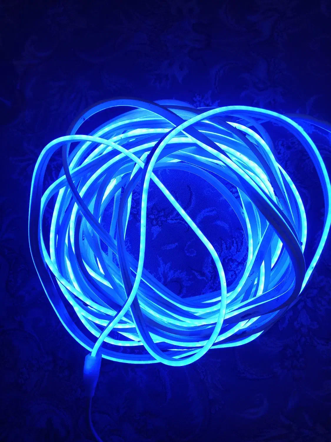 ریسه|ریسه و چراغ تزئینی|تهران, هاشمی|دیوار