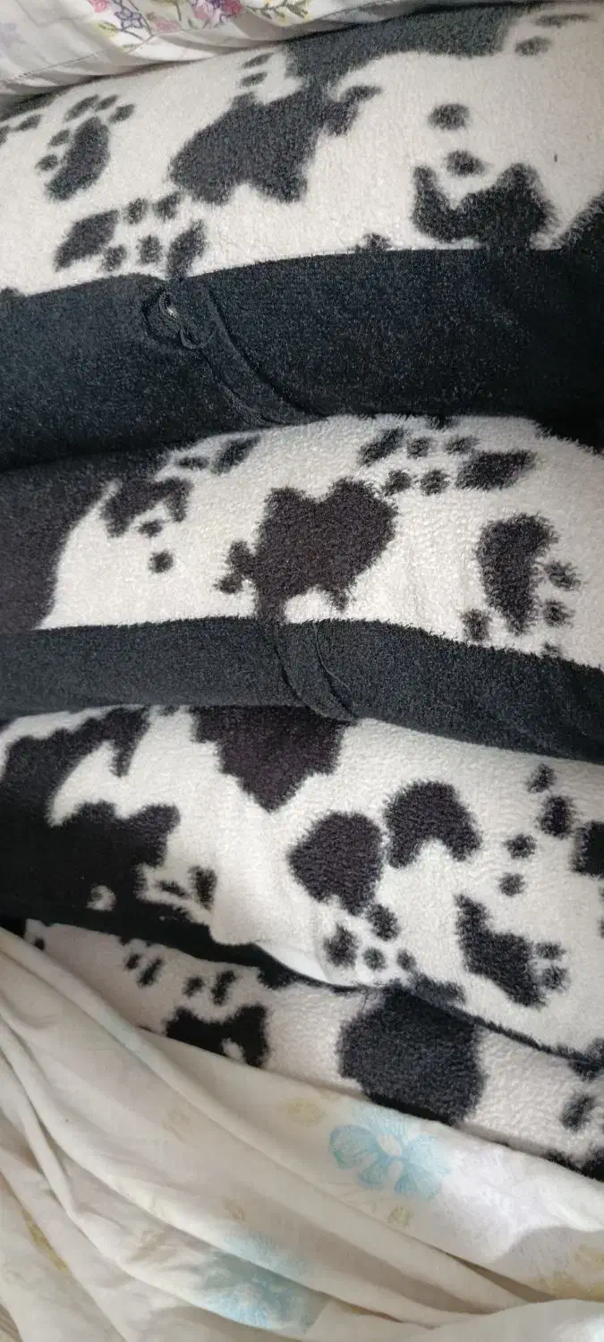 بالشت|رختخواب، بالش، پتو|بروجرد, |دیوار