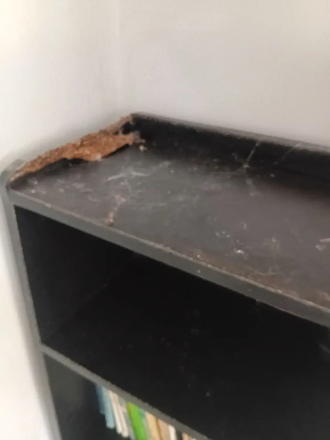 کتابخانه|کتابخانه، شلف، قفسههای دیواری|صدرا-فارس, فاز ۱|دیوار