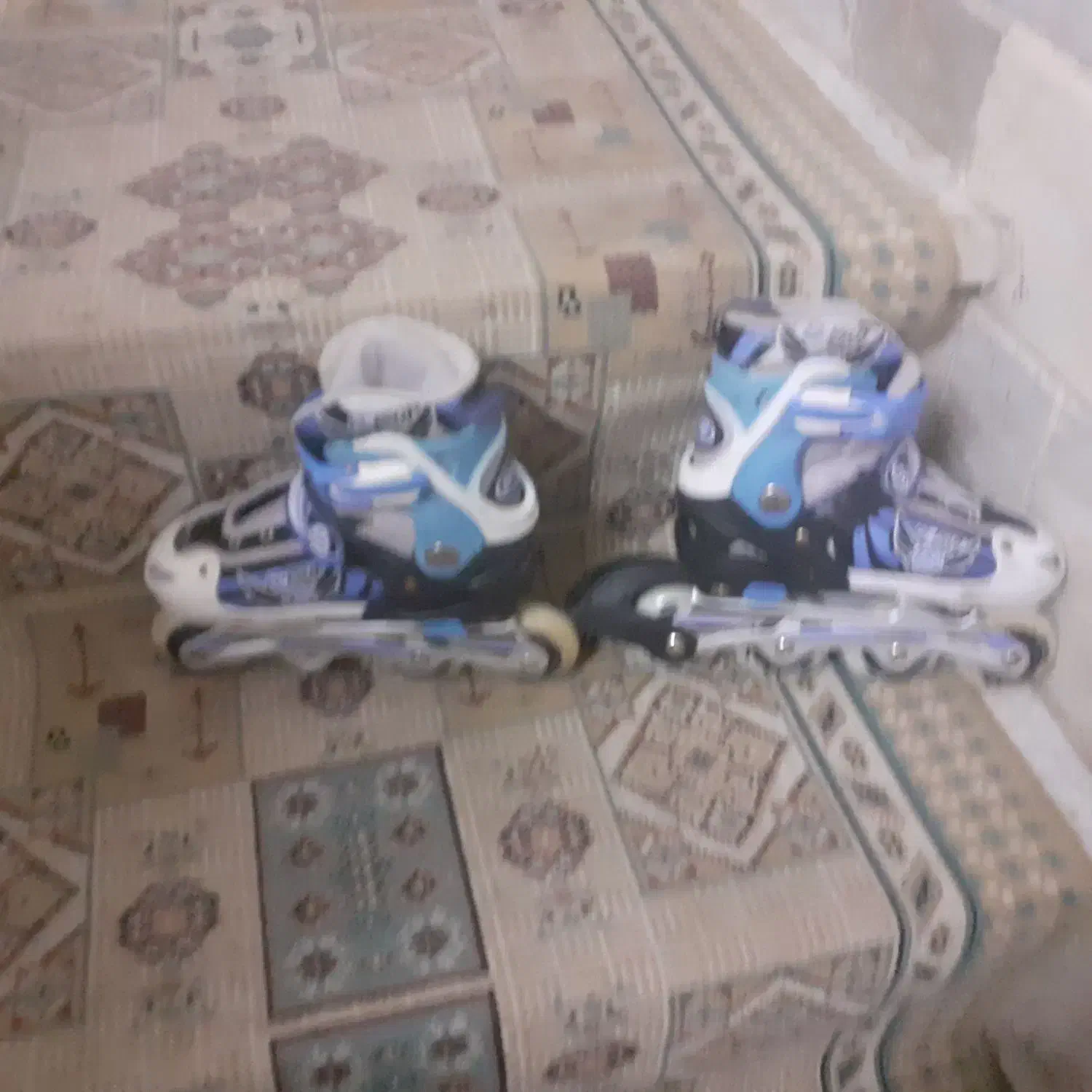 اسکیت کفشی|دوچرخه، اسکیت، اسکوتر|قم, تعویض پلاک|دیوار