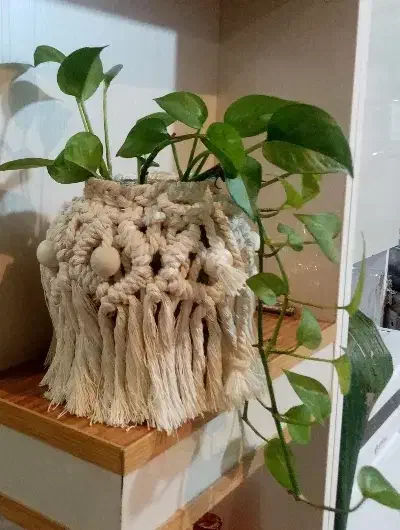 گلدان جار مکرومه|صنایع دستی و سایر لوازم تزئینی|قم, شاه سید علی|دیوار