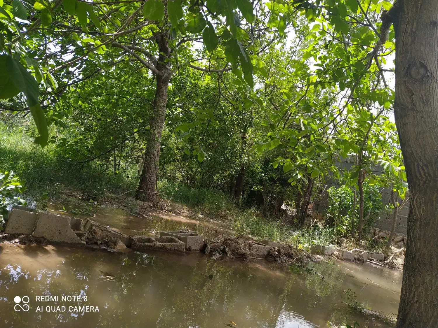 فروش باغ ویلایی|فروش خانه و ویلا|بوانات, |دیوار