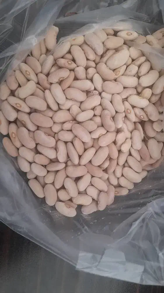 لوبیا سفید ، کشاورزی|عمده‌فروشی|قیدار, |دیوار