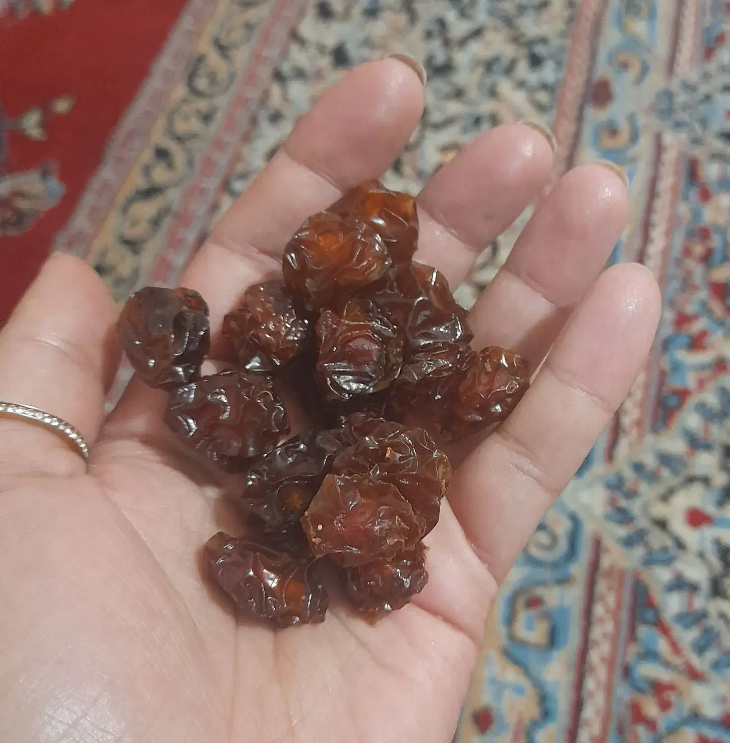 آلوچه|خوردنی و آشامیدنی|یزد, |دیوار