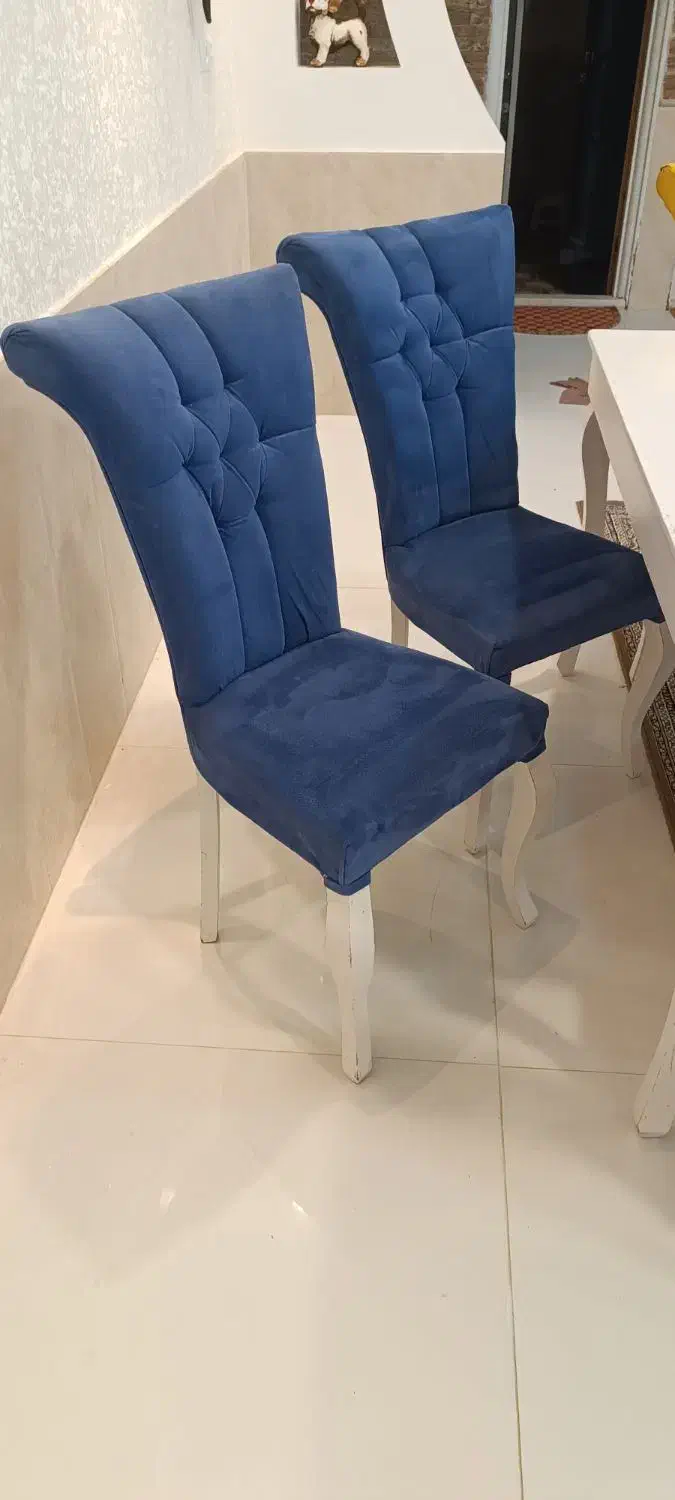 میز و صندلی نهارخوری ۶ نفره|میز و صندلی غذاخوری|گناباد, |دیوار