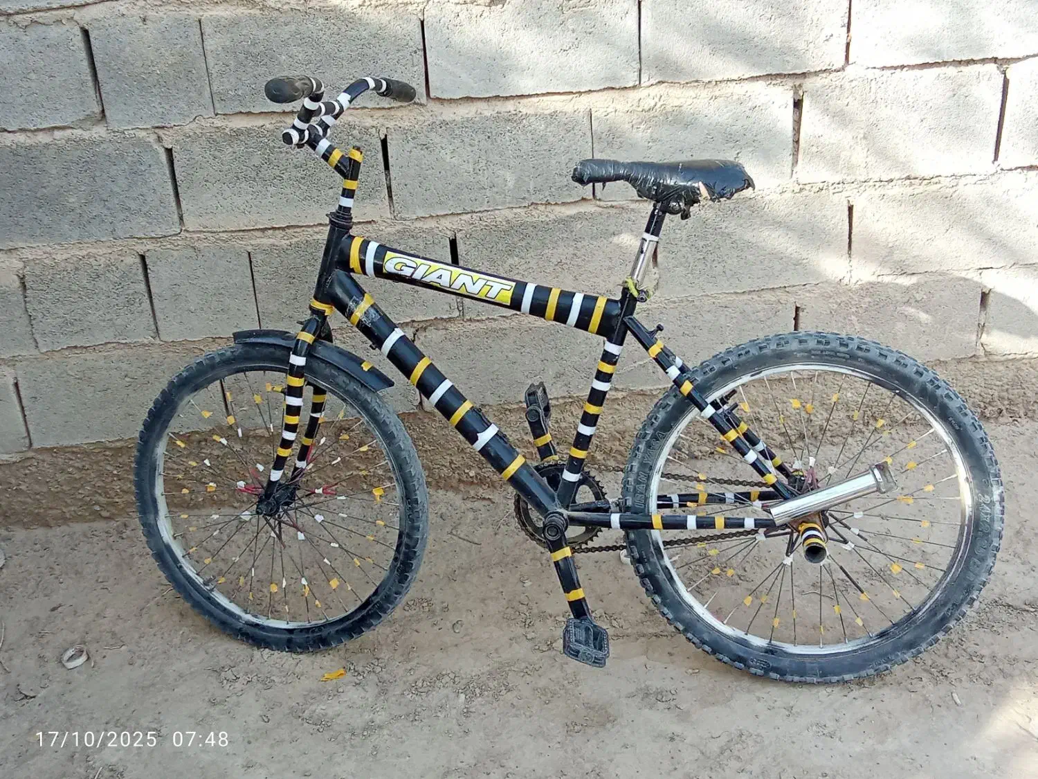 دوچرخه|دوچرخه، اسکیت، اسکوتر|زابل, |دیوار