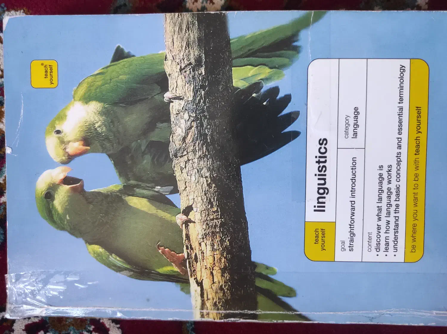 کتاب های دانشگاهی زبان انگلیسی عمومی ایتالیایی|کتاب و مجله آموزشی|شیراز, شهرک صدا و سیما|دیوار