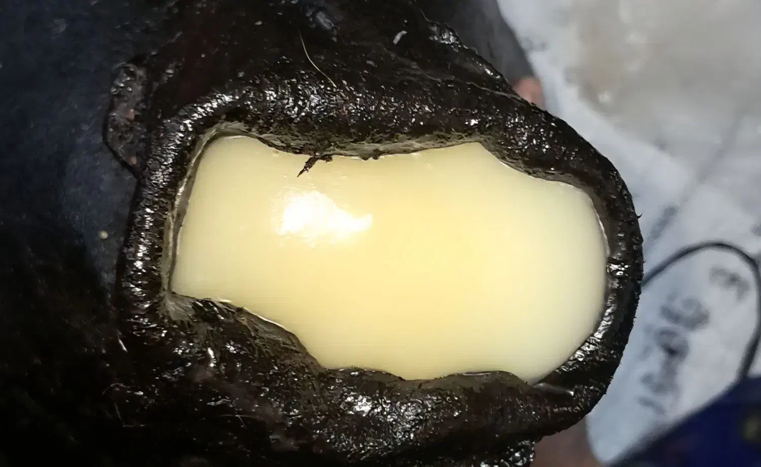 روغن حیوانی درجه۱|خوردنی و آشامیدنی|جوانرود, |دیوار