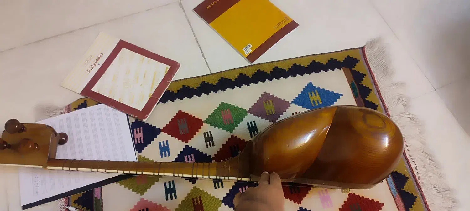 تار دو مهر کشاورز|سازهای سنتی|بروجرد, |دیوار