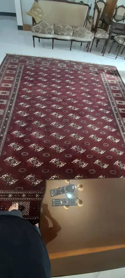 فرش دستبافت ترکمن|فرش|قائم‌شهر, |دیوار