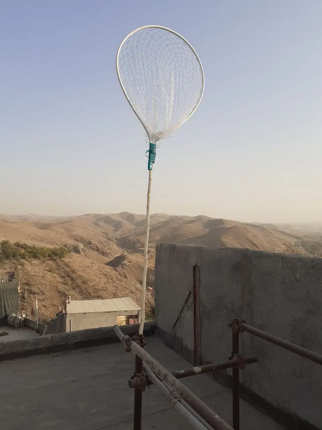 تور کبوتر|لوازم جانبی حیوانات|طرقبه, |دیوار