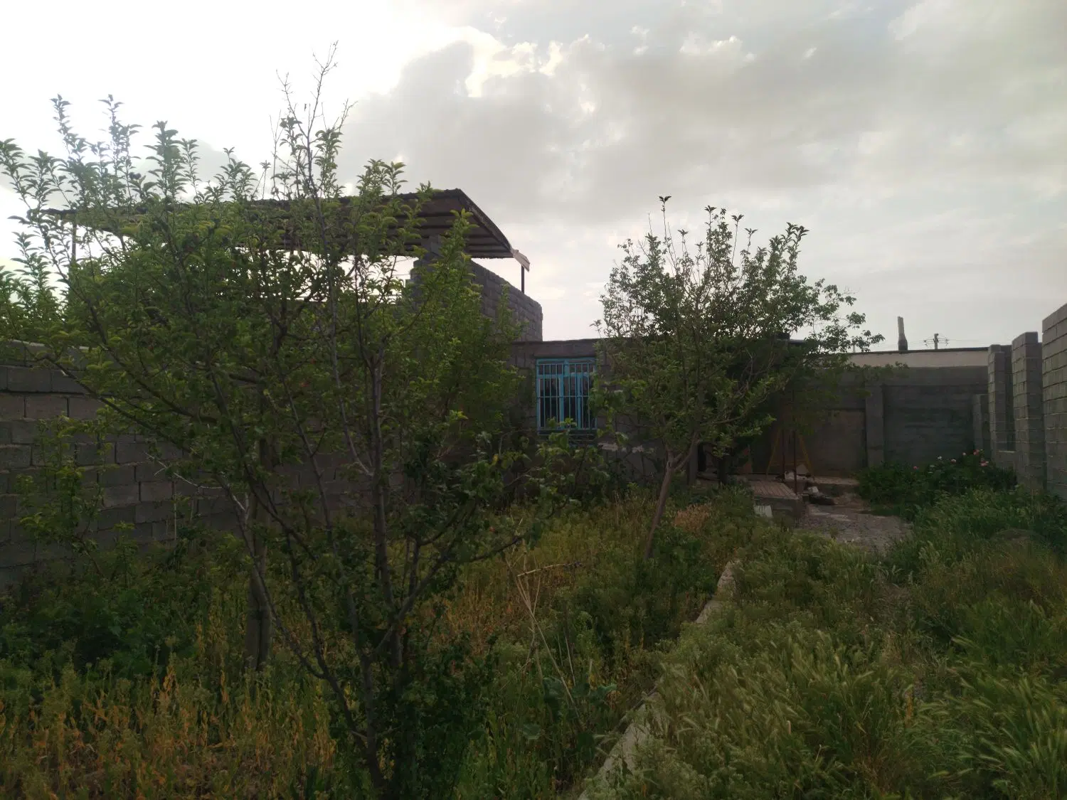 تصویر 7