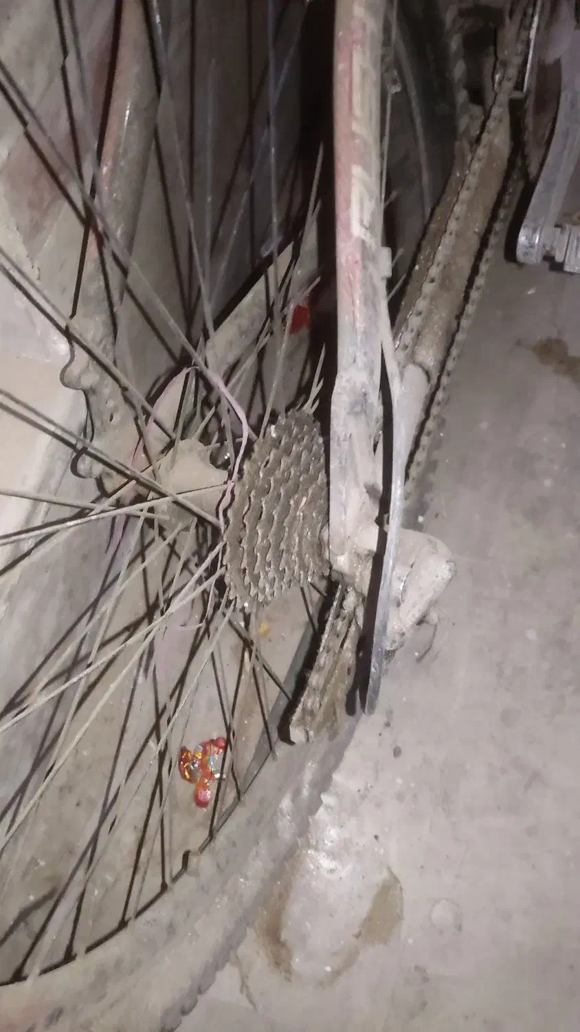 دوچرخه 26اورلرد|دوچرخه، اسکیت، اسکوتر|قم, پردیسان|دیوار