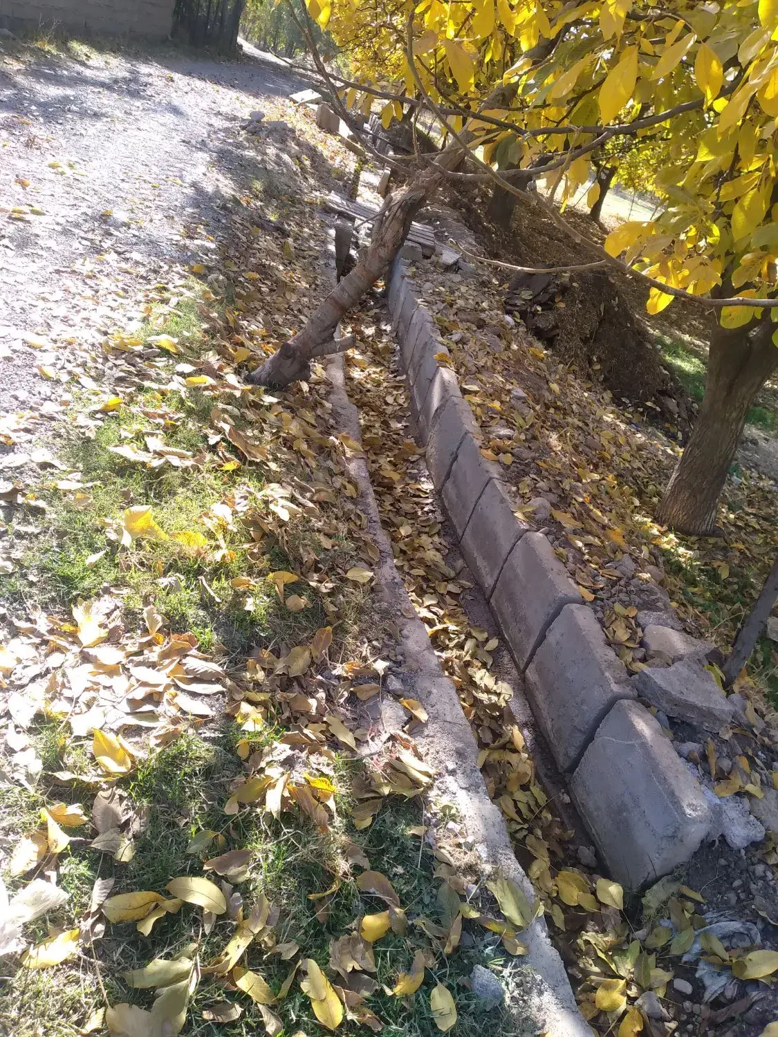 باغ فروشی|فروش دفتر صنعتی، کشاورزی، تجاری|الشتر, |دیوار