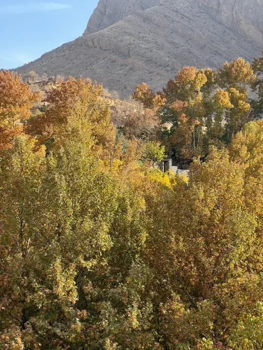 زمین در خان‌خمیس|فروش زمین و ملک کلنگی|ارژن, |دیوار