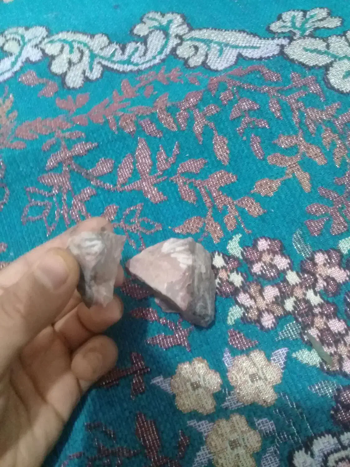 فسیل‌صدف‌و‌مسیل‌حیوان‌در‌یایی‌‌‌چند‌سا‌له|کلکسیون و سرگرمی|مشهد, رده|دیوار