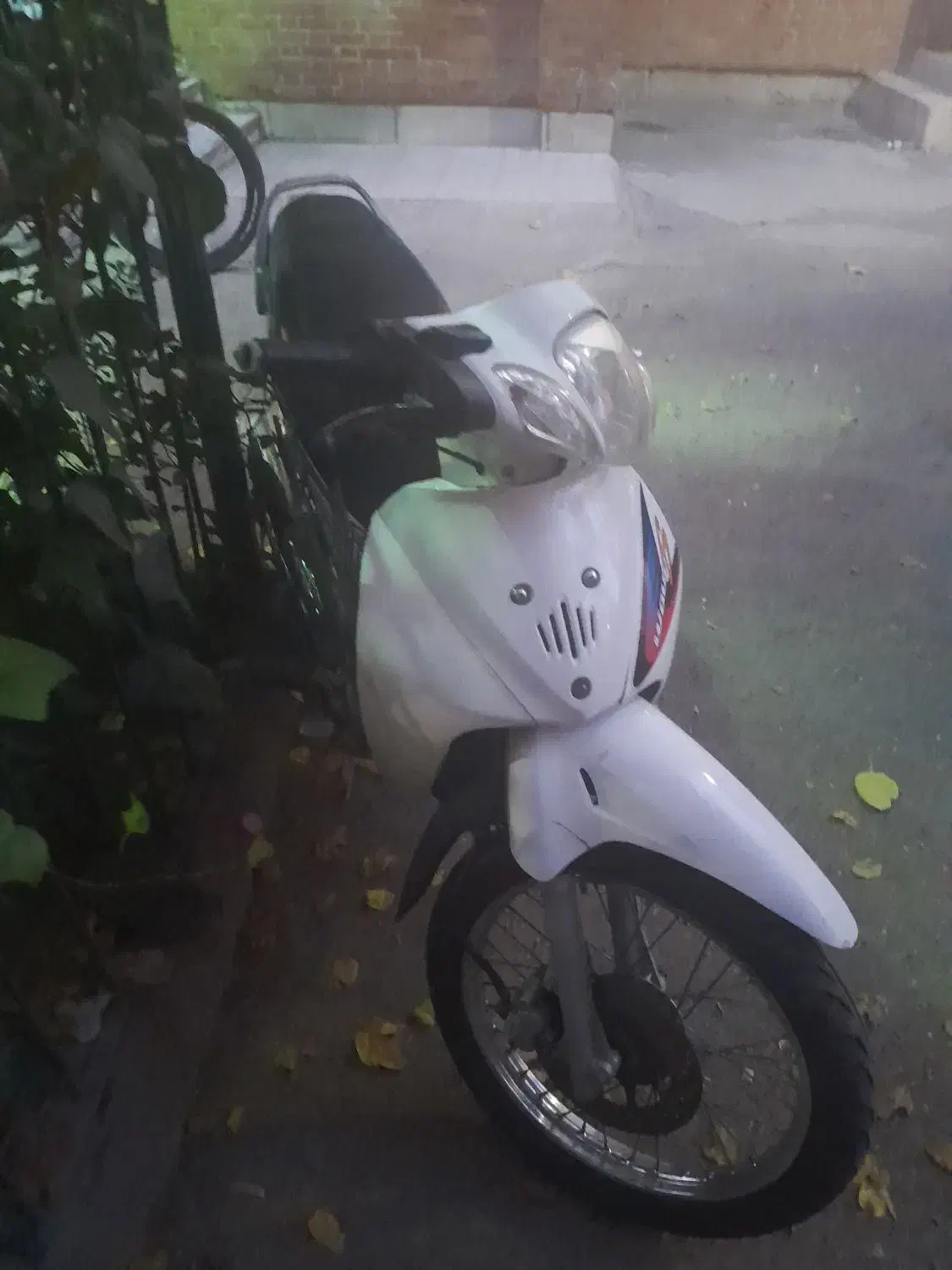 موتورسیکیلت|موتورسیکلت|تهران, باغ خزانه|دیوار