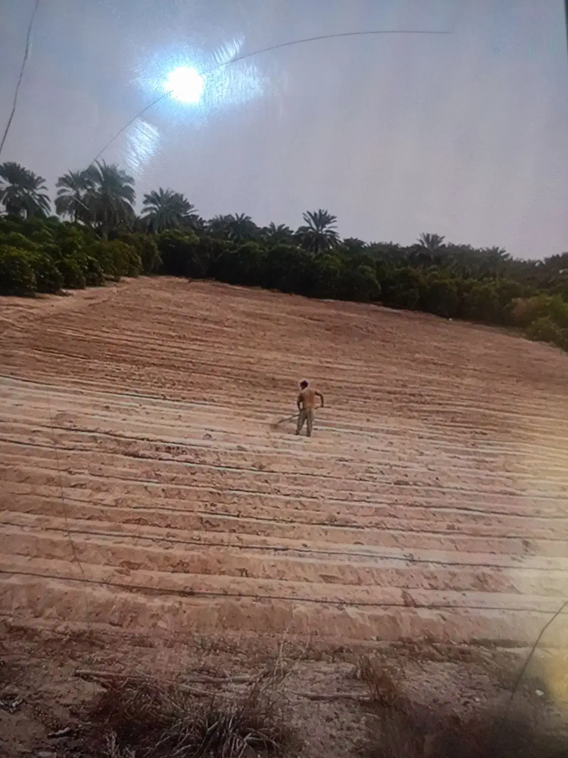 نیم هکتار زمین کشاوزی در عنبراباد جهت اجاره|فروش دفتر صنعتی، کشاورزی، تجاری|عنبرآباد, |دیوار