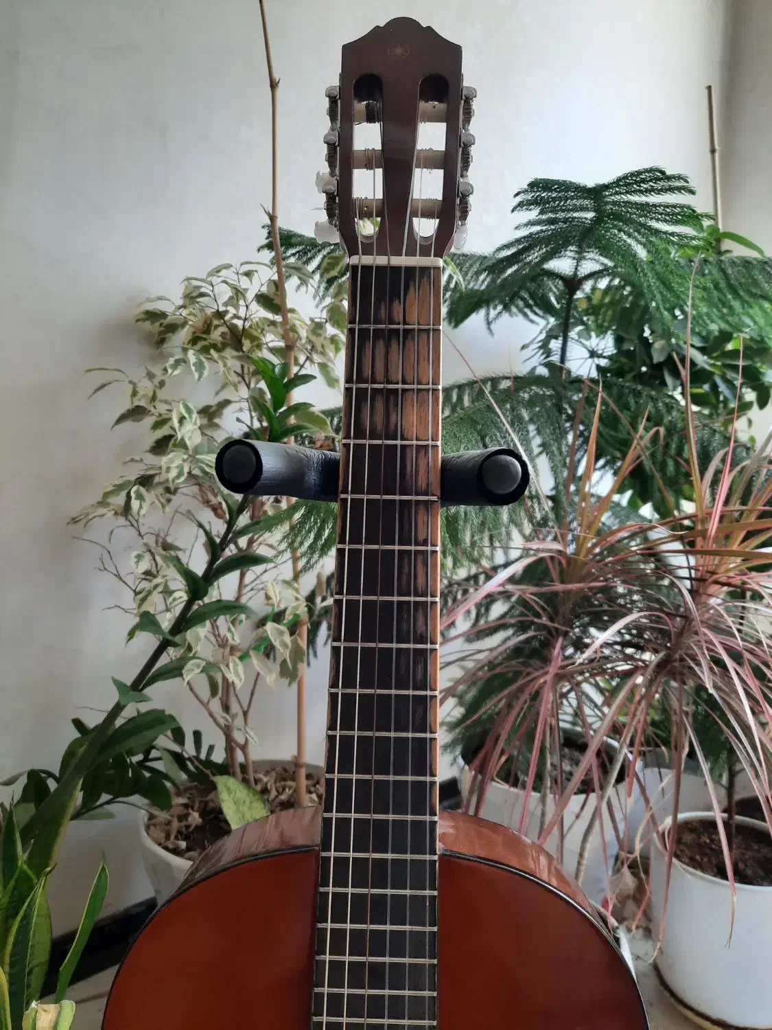 گیتار یاماها مدل cs40 سایز ۳/۴|گیتار، بیس، امپلیفایر|شیراز, دکتر حسابی|دیوار