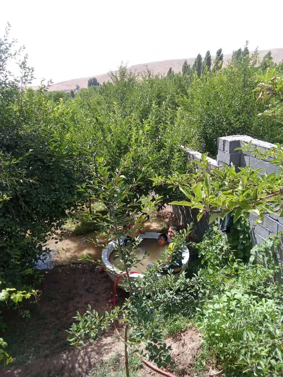 فروش باغچه دور دیوار|فروش خانه و ویلا|مشهد, کارده|دیوار