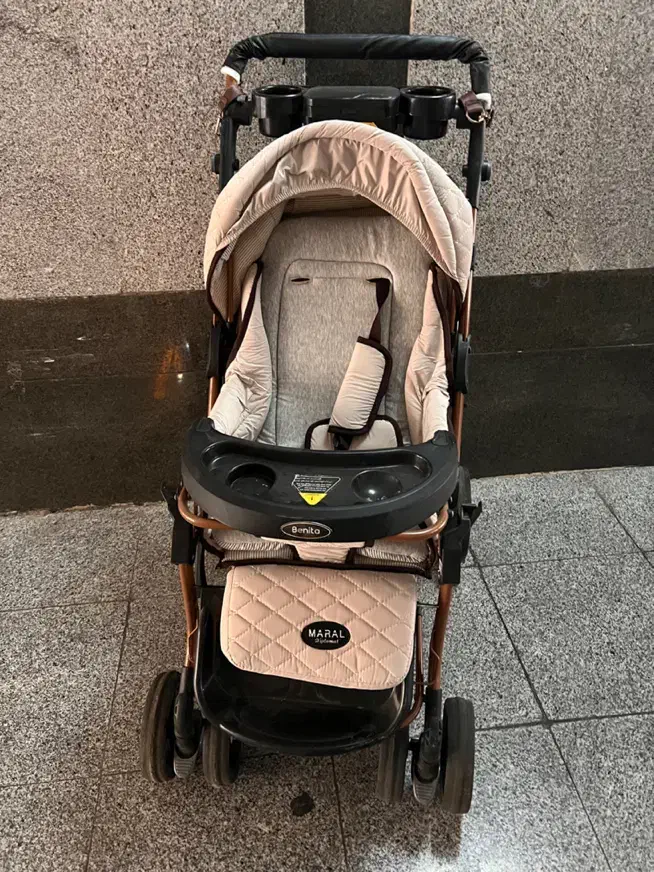 کالسکه دلیجان|کالسکه و لوازم جانبی|تهران, هروی|دیوار