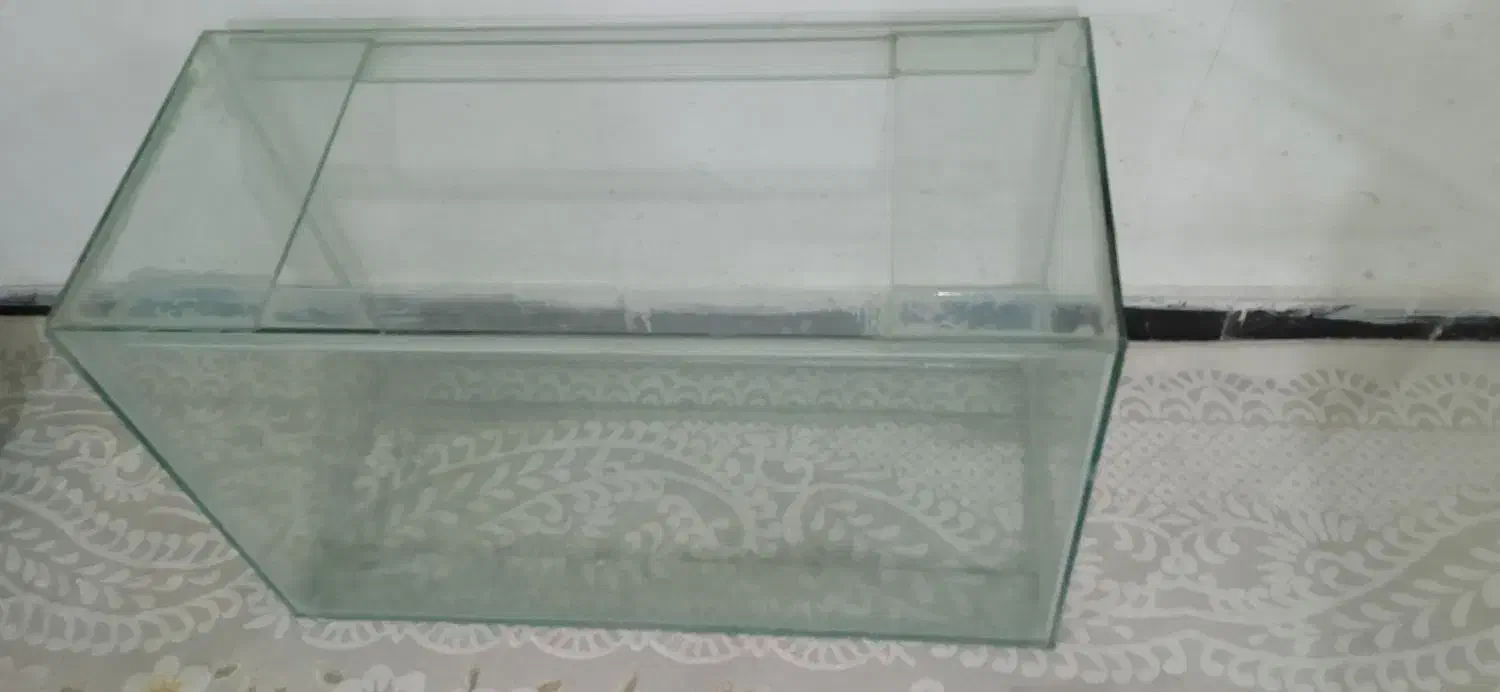 آکواریوم|ماهی|خرم‌آباد, |دیوار