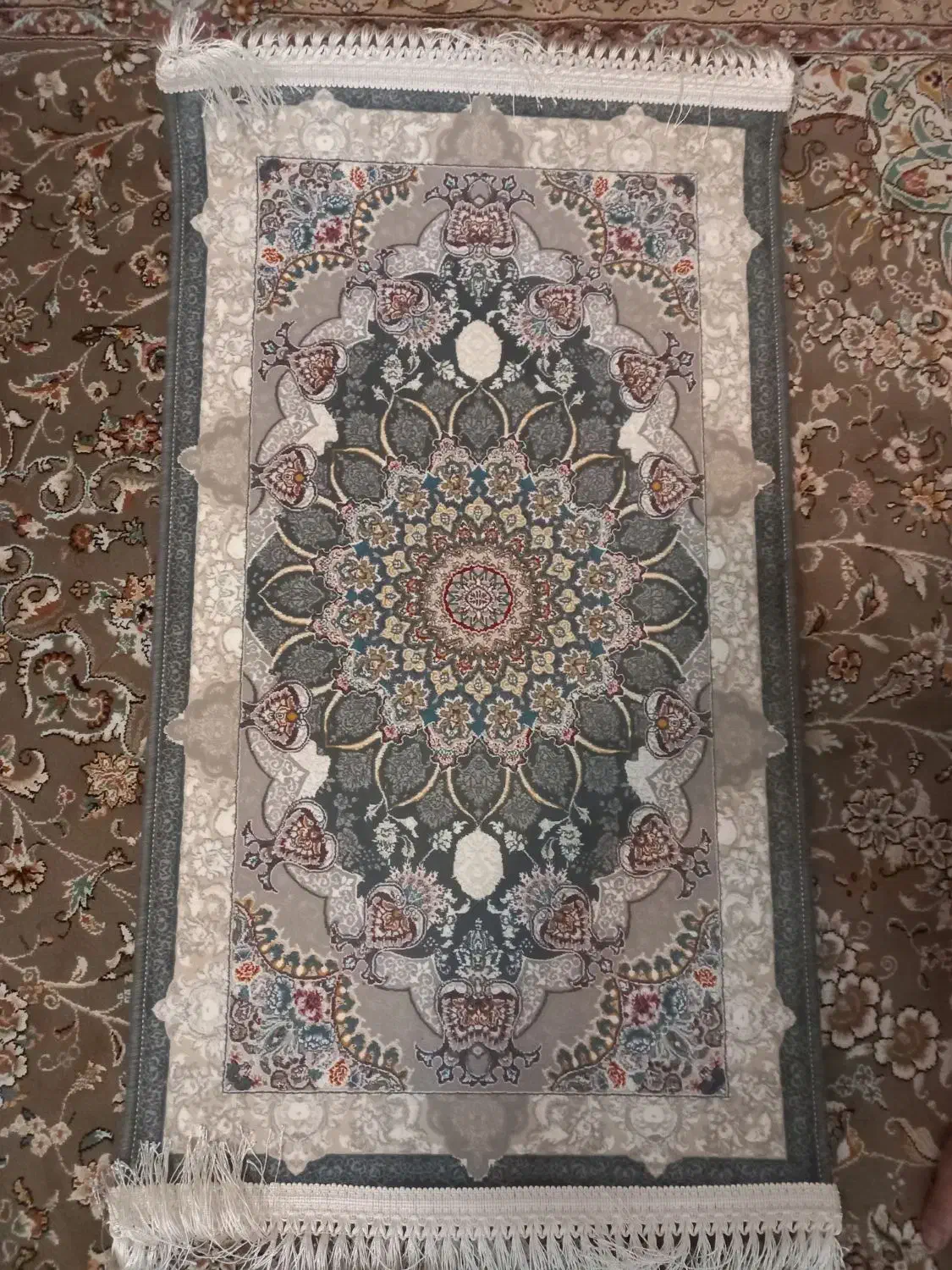 ۳ عدد پادری|پادری|زنجان, |دیوار