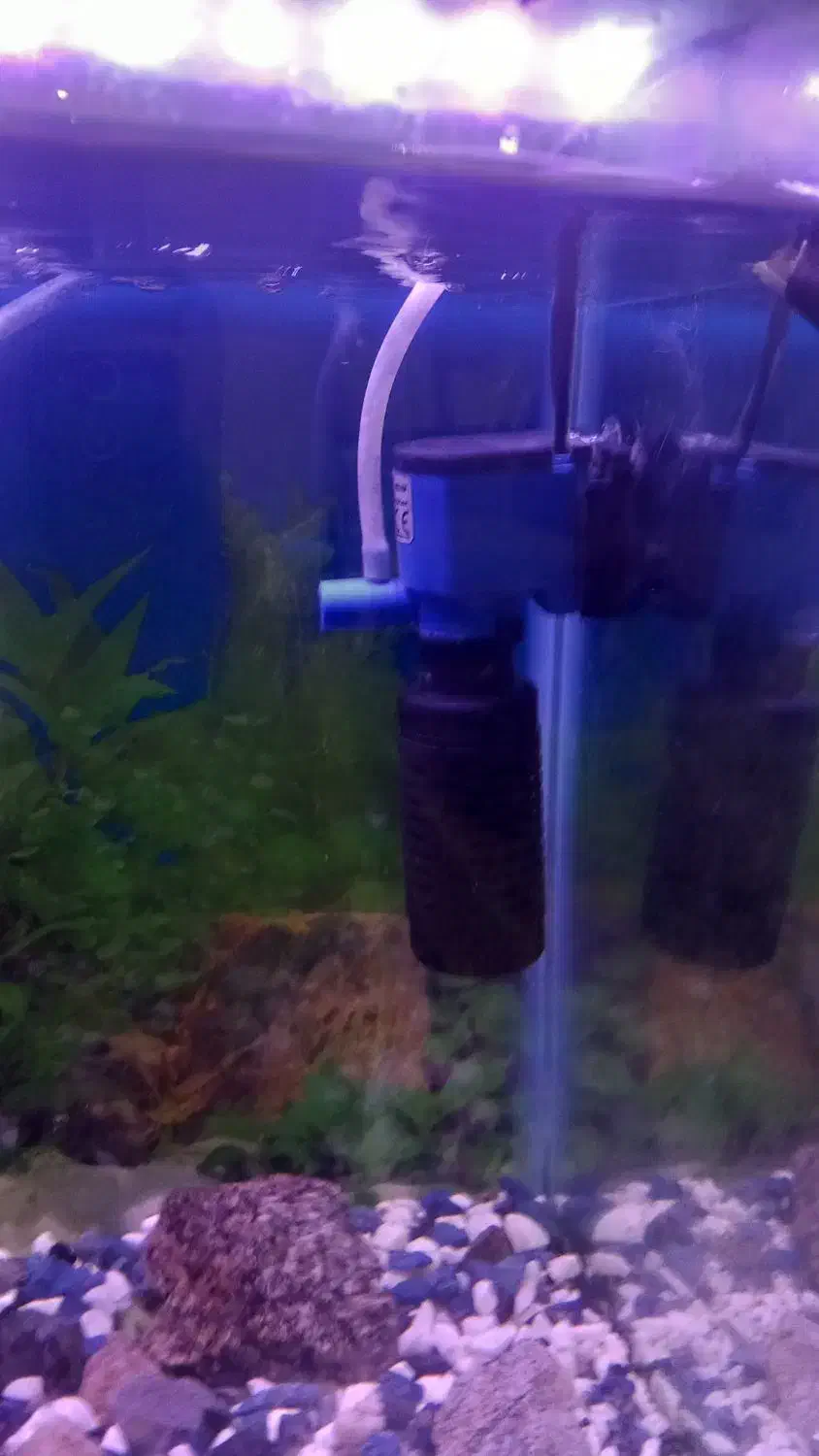 فیلتر هنگان نو به کمترین قیمت بازار|ماهی|همدان, |دیوار