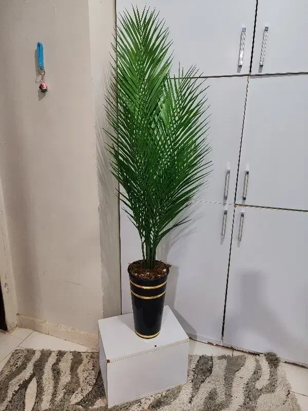 گلها و درختچه های مصنوعی|گل مصنوعی|رباطکریم, رباطکریم|دیوار