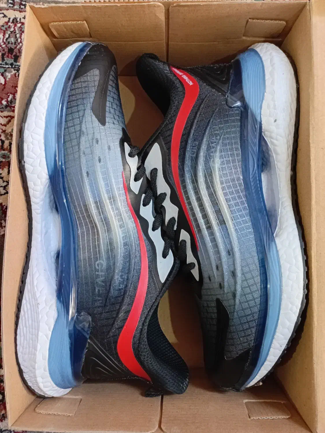 کتونی اسپرت ورزشی|کیف، کفش، کمربند|قم, نیروگاه|دیوار