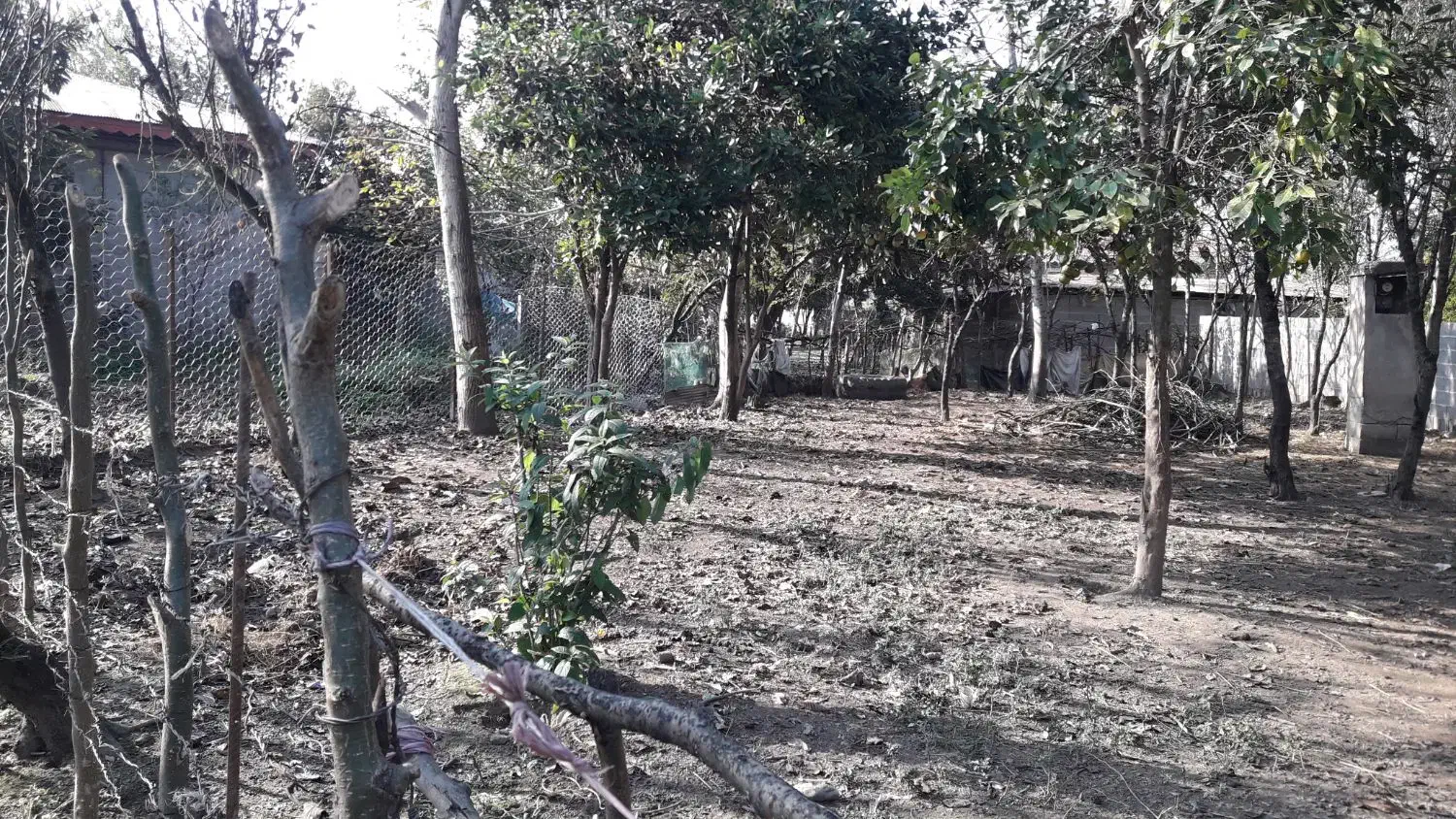 فروش زمین ۳۰۰متری مسکونی|فروش زمین و ملک کلنگی|ماکلوان, |دیوار