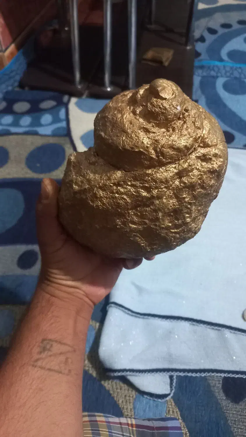 فسیل|کلکسیون اشیاء عتیقه|فیروزآباد (فارس), |دیوار