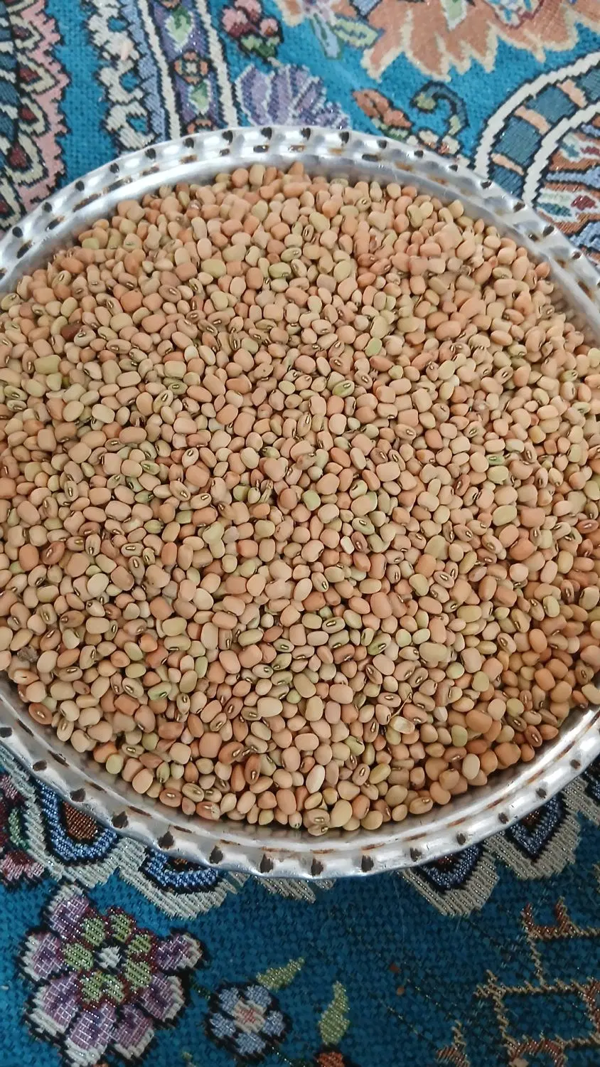 لوبیه|خوردنی و آشامیدنی|دره شهر, |دیوار