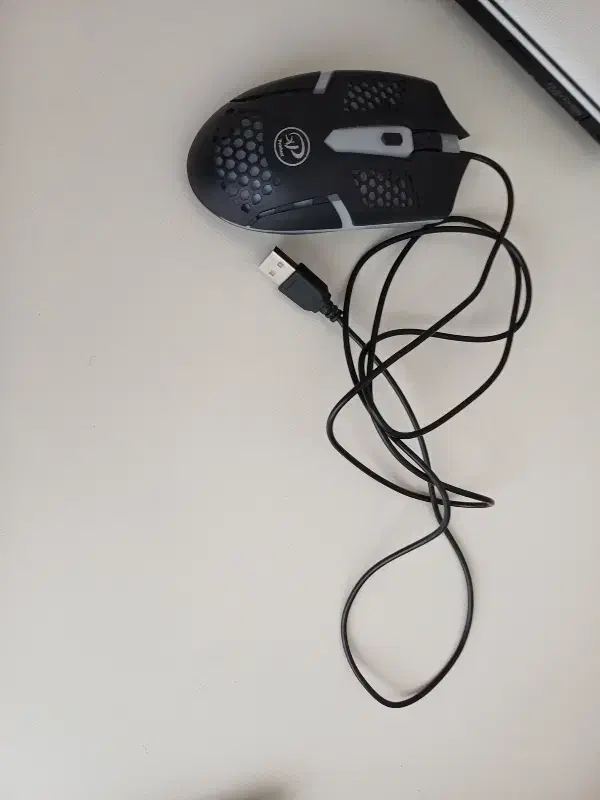 لپ تاپ ایسوس|رایانه همراه|میانه, |دیوار