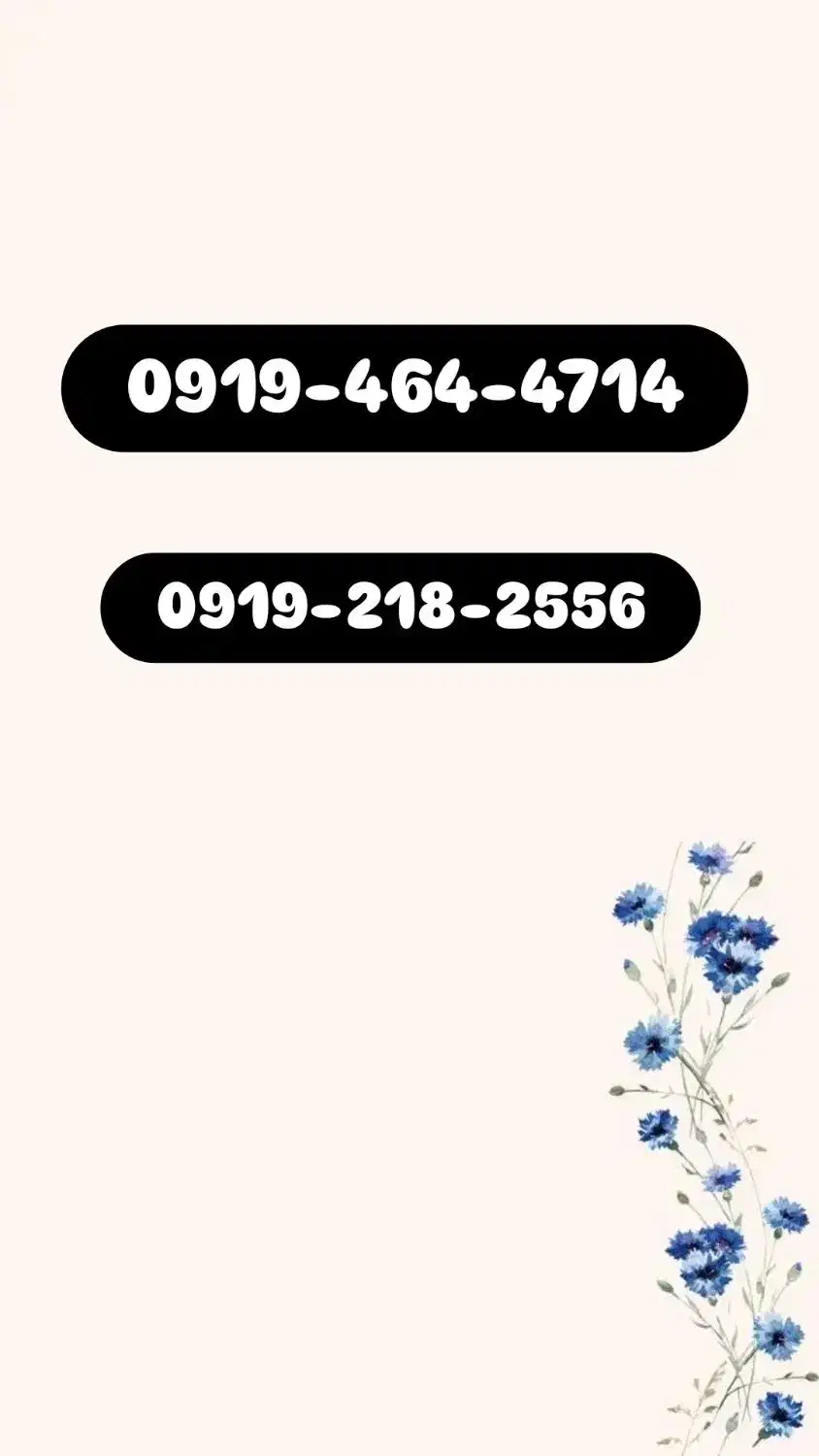 خط همراه اول رند|سیم‌کارت|بابل, |دیوار