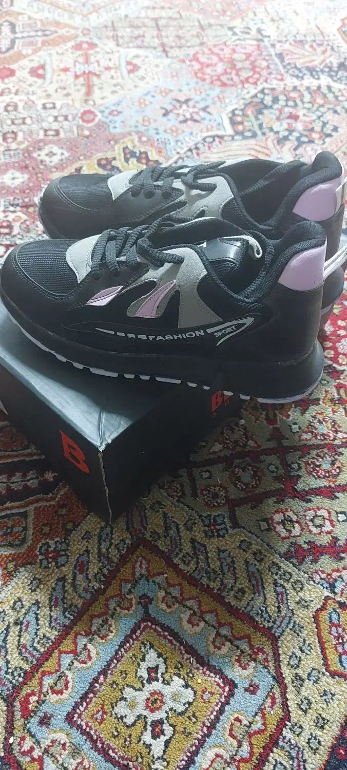 کفش|کیف، کفش، کمربند|برازجان, |دیوار