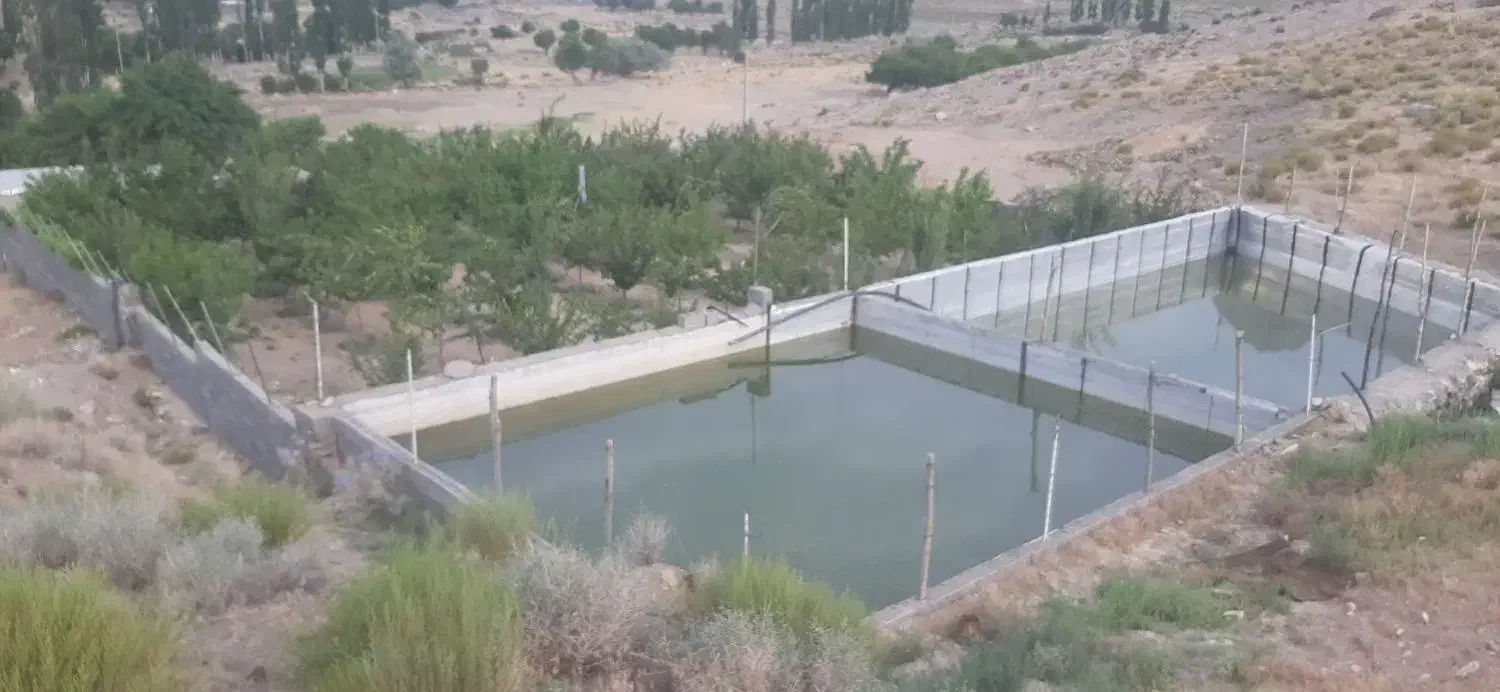 چهار حبه ملک  احمد آباد خیاری دهج|فروش زمین و ملک کلنگی|دهج, |دیوار