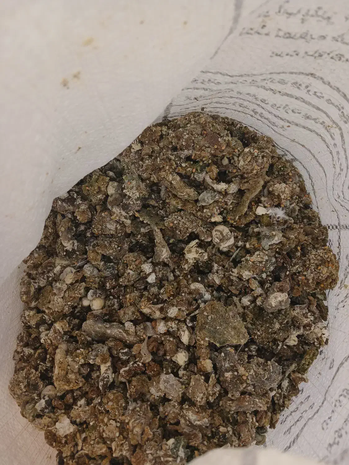 کود کبوتر|حیوانات مزرعه|کوهسار (البرز), |دیوار