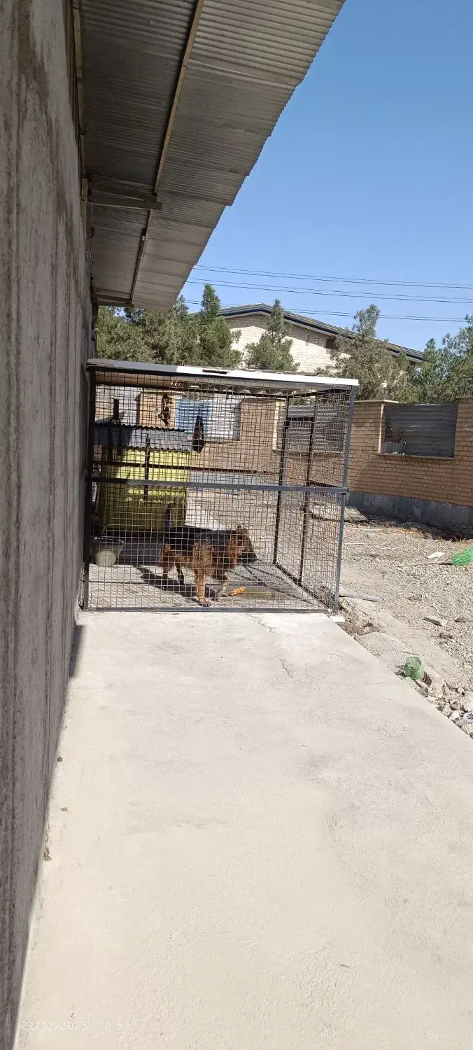 قفس سگ|لوازم جانبی حیوانات|رباطکریم, شهرک صنعتی نصیرآباد|دیوار