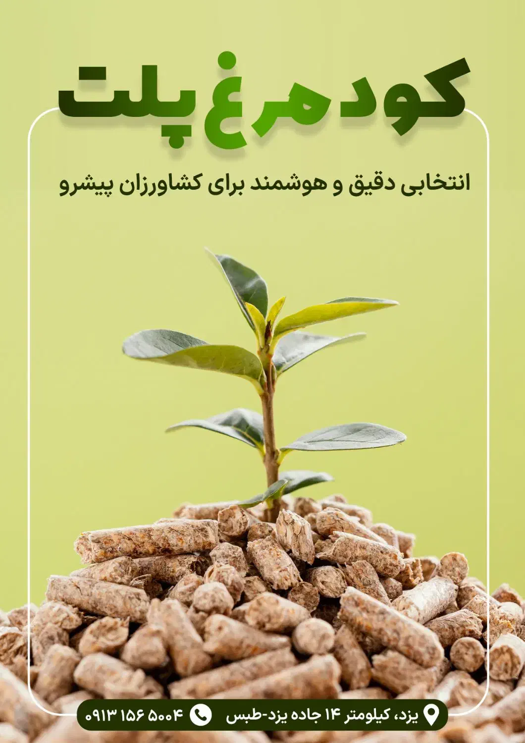 پروکود . کود پلت مرغی|عمده‌فروشی|اشکذر, |دیوار