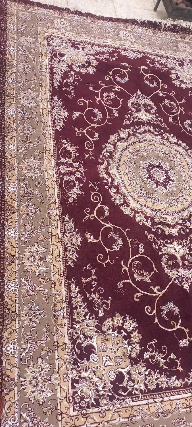 فرش ۶متری|فرش|ابهر, |دیوار