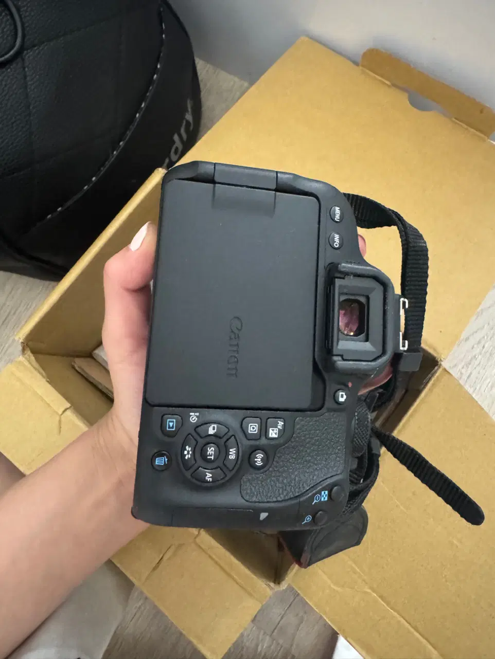 دوربین Canon 800D|دوربین عکاسی و فیلمبرداری|تهران, فدک|دیوار