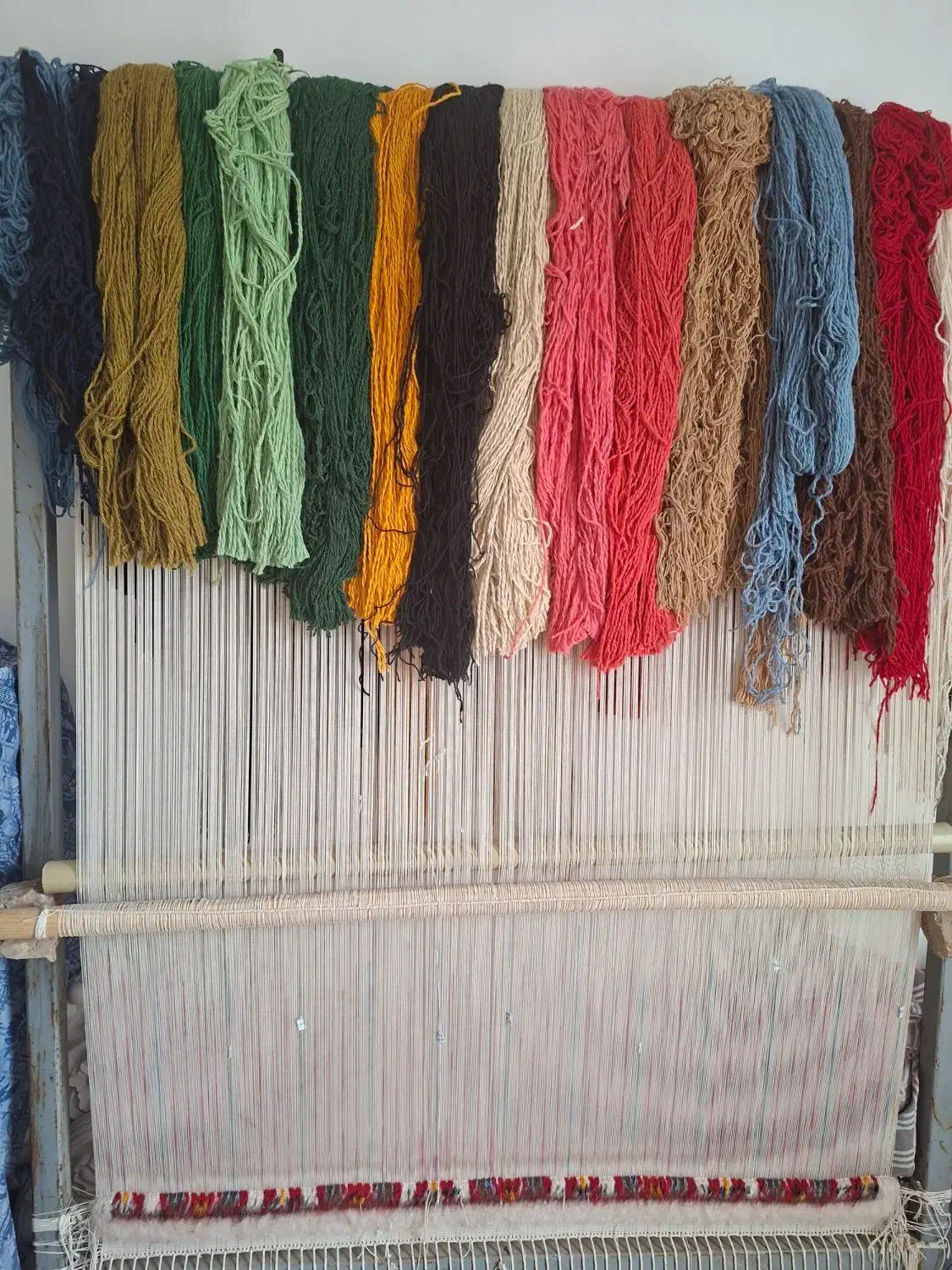 قالی زرنیم سنتی بانخ کامل|فرش|پیشوا, |دیوار