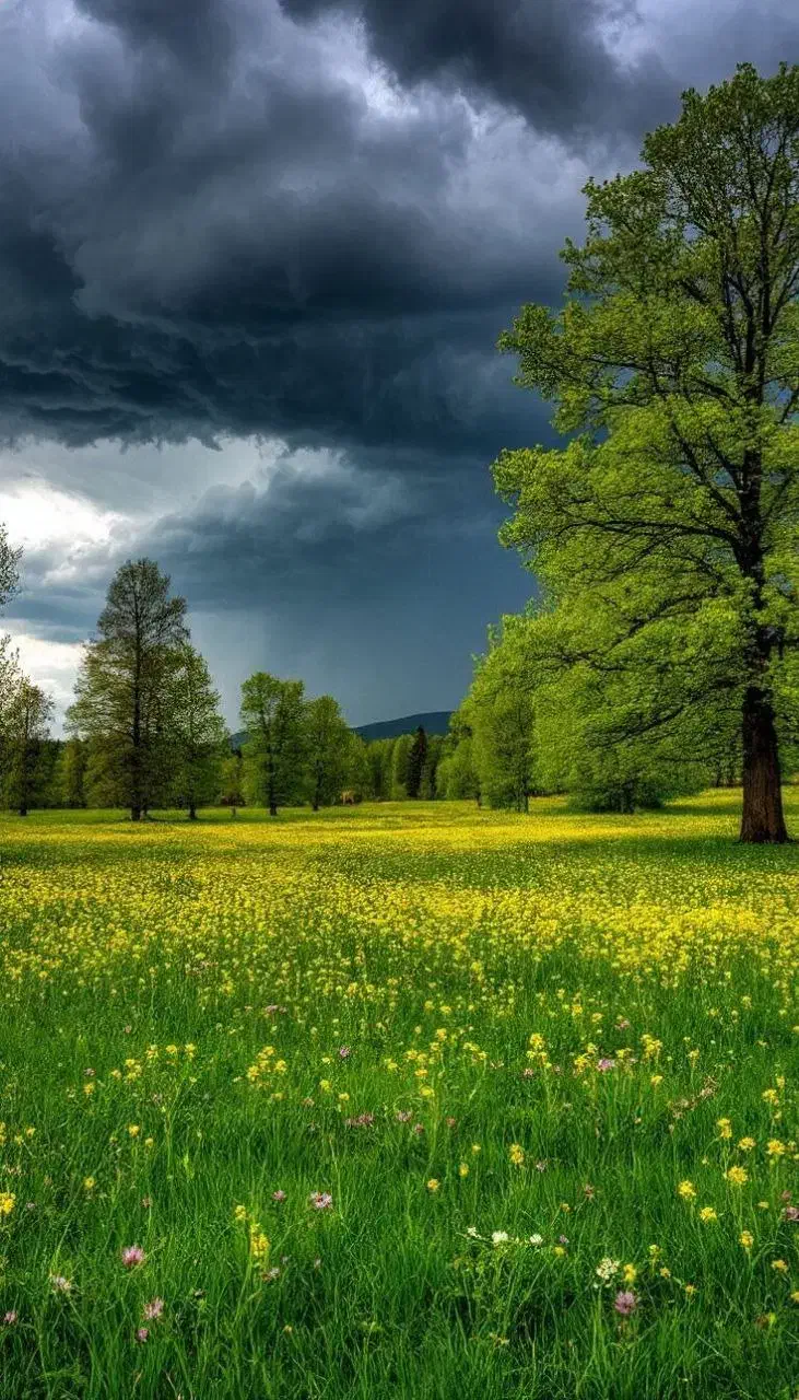 فروش زمین|فروش زمین و ملک کلنگی|گلوگاه بابل (گلیا), |دیوار