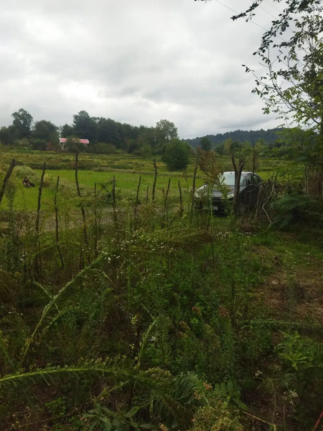 590متر مجاز به ساخت 216متر بنا در ارتفاع 9.3چوبر|فروش زمین و ملک کلنگی|احمدسرگوراب, |دیوار