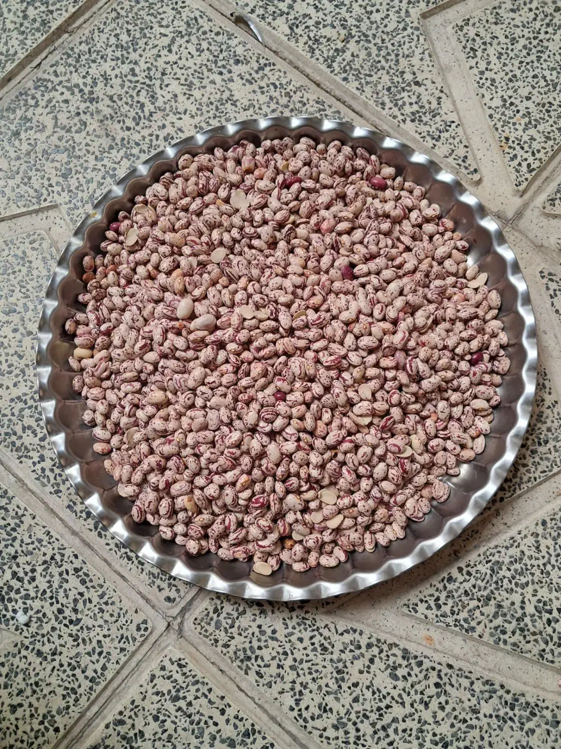 لوبیا چیتی|خوردنی و آشامیدنی|تهران, شهرک طالقانی|دیوار