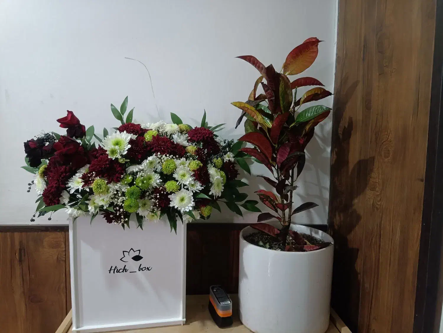 گل آپارتمانی ۷۰۰|گل و گیاه طبیعی|مشهد, شهید رضوی|دیوار