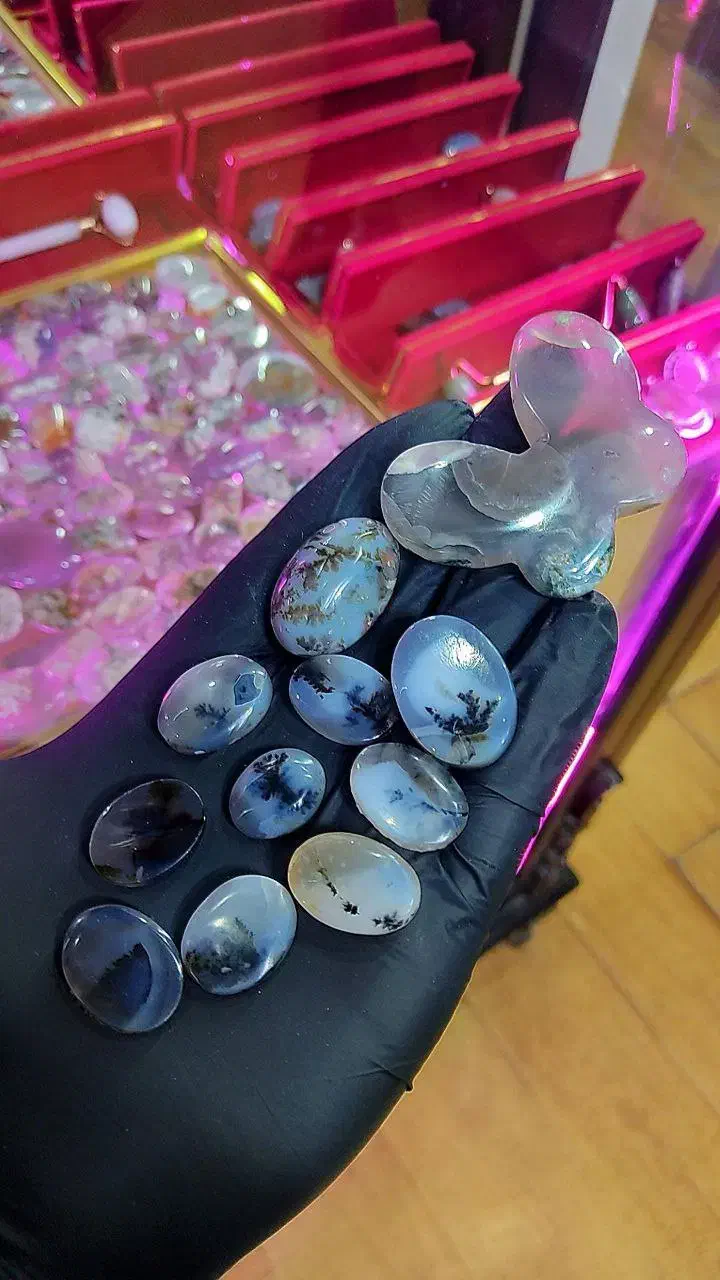 ده عدد شجر تک درخت حراج خاص|بدلیجات|ساوه, |دیوار