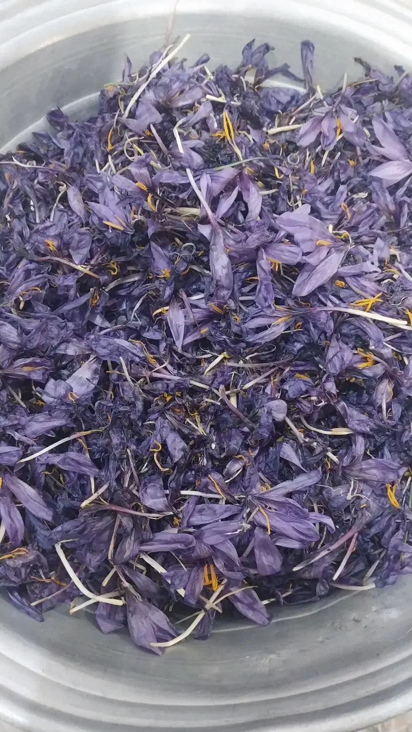 ریموت|اشیا|مهران (ایلام), |دیوار